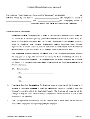 ip assignment contract